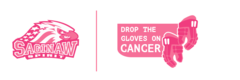 saginawspiritfightscancer